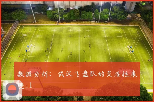 数据分析：武汉飞盘队的灵活性表现_1