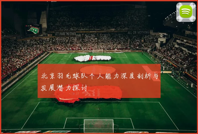 北京羽毛球队个人能力深度剖析与发展潜力探讨