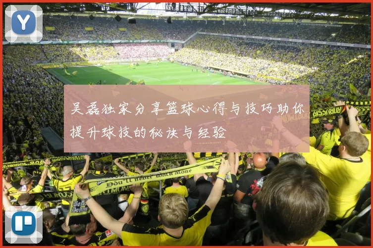 吴磊独家分享篮球心得与技巧助你提升球技的秘诀与经验