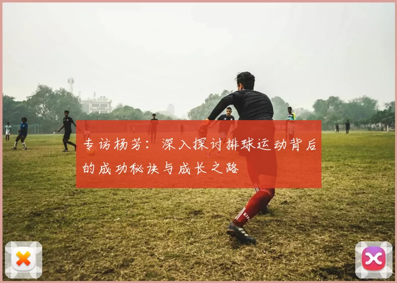 专访杨芳：深入探讨排球运动背后的成功秘诀与成长之路