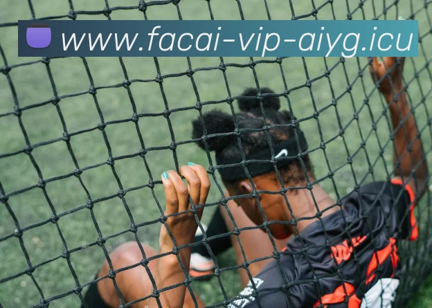 乐鱼体育APP 封面图