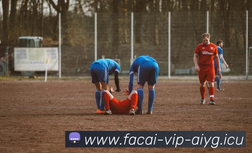 数据防护可视化